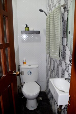 Regadera, secadora de cabello, bidet, toallas