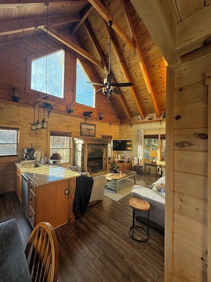 TV, peis og stereoanlegg