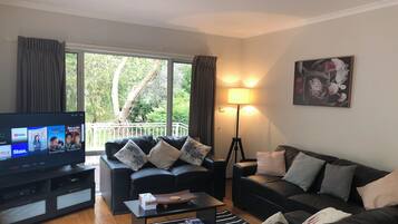 Smart TV, fireplace, video games, DVD player