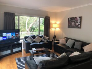 Smart TV, fireplace, video games, DVD player