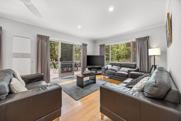 智能電視、壁爐、電子遊戲、DVD 播放機