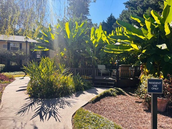 Jardines del alojamiento