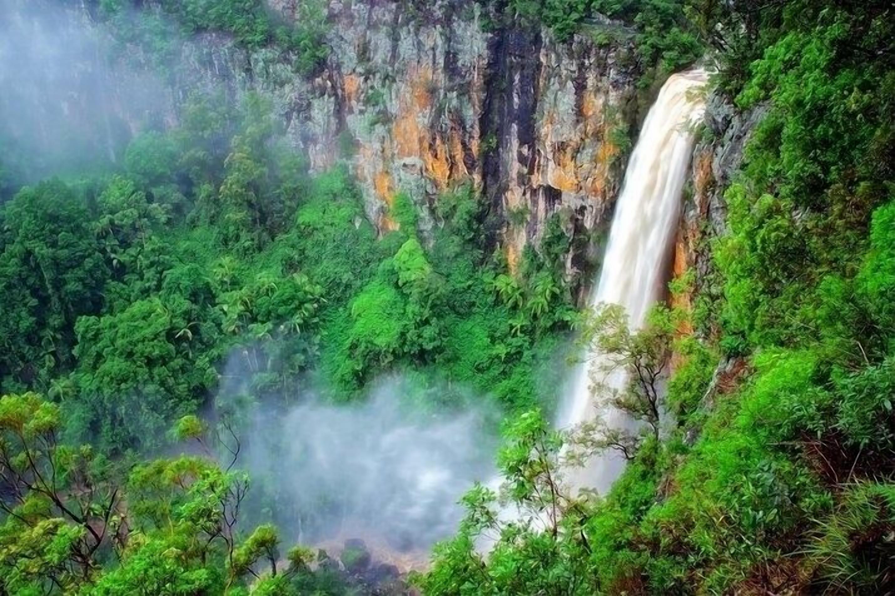 A waterfall surrounded by dense green foliage.