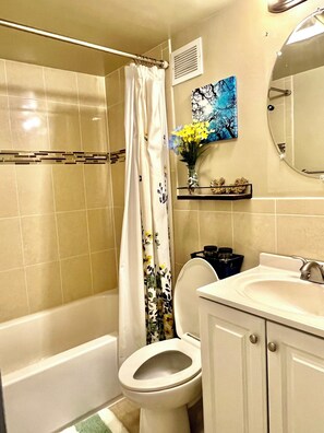 Hair dryer, towels, shampoo, toilet paper