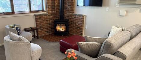 TV, fireplace, video games, ping pong