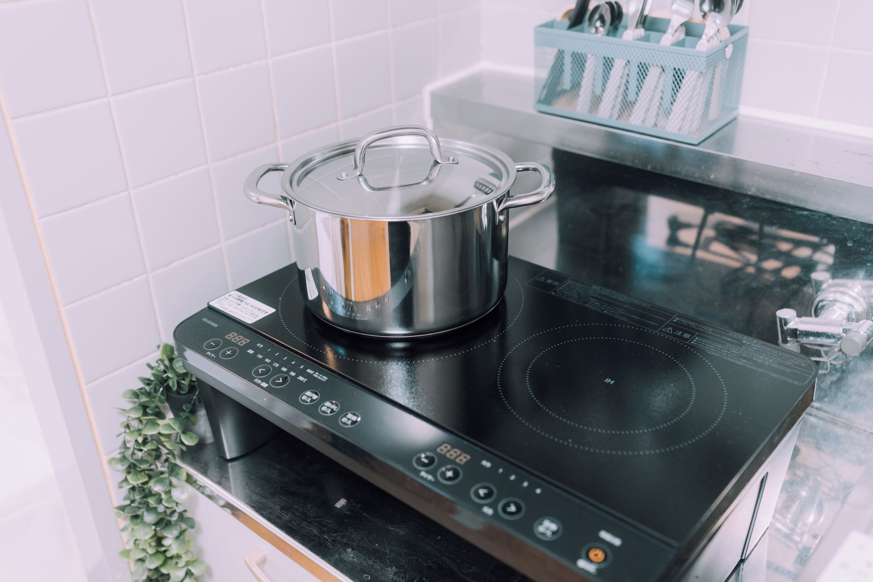 公寓, 2 张双人床, 无烟房 | 私人厨房 | 大冰箱、微波炉、炉灶、电热水壶