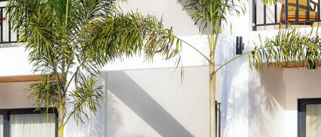 Un edificio moderno con piscina, rodeado de palmeras y otra vegetación.