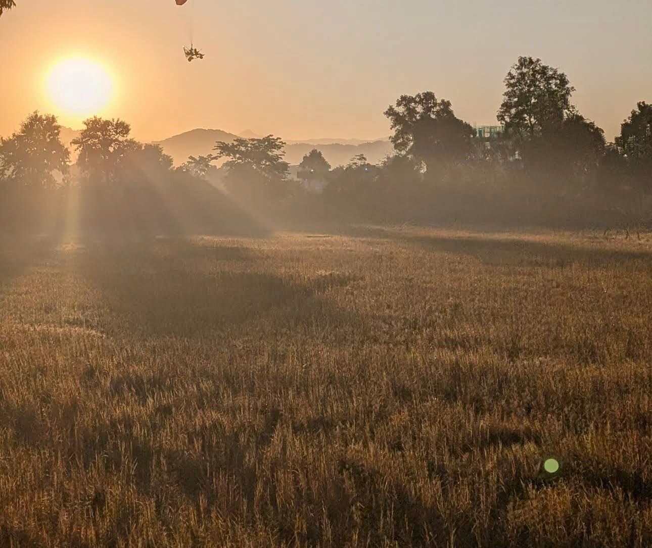 A field with a sunrise or sunset, trees, and a distant building.