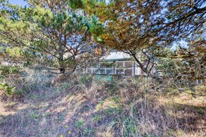 Property grounds - Dune Grass-Beach right out back! Dog OK. Spacious, fireplace, 3 bed. (Pacific City)