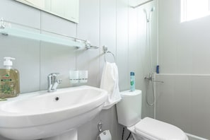 Bathroom shower - Great Trip in Tashkent (Tashkent)