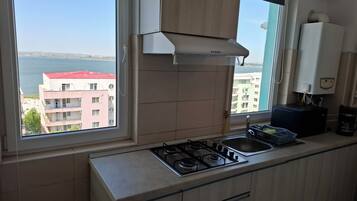 Apartment, 1 Bedroom, Accessible, Smoking | Interior