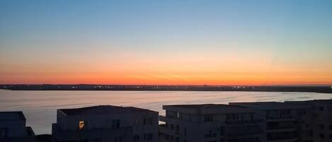 アパートメント 1 ベッドルーム バリアフリー 喫煙可 | 施設の敷地