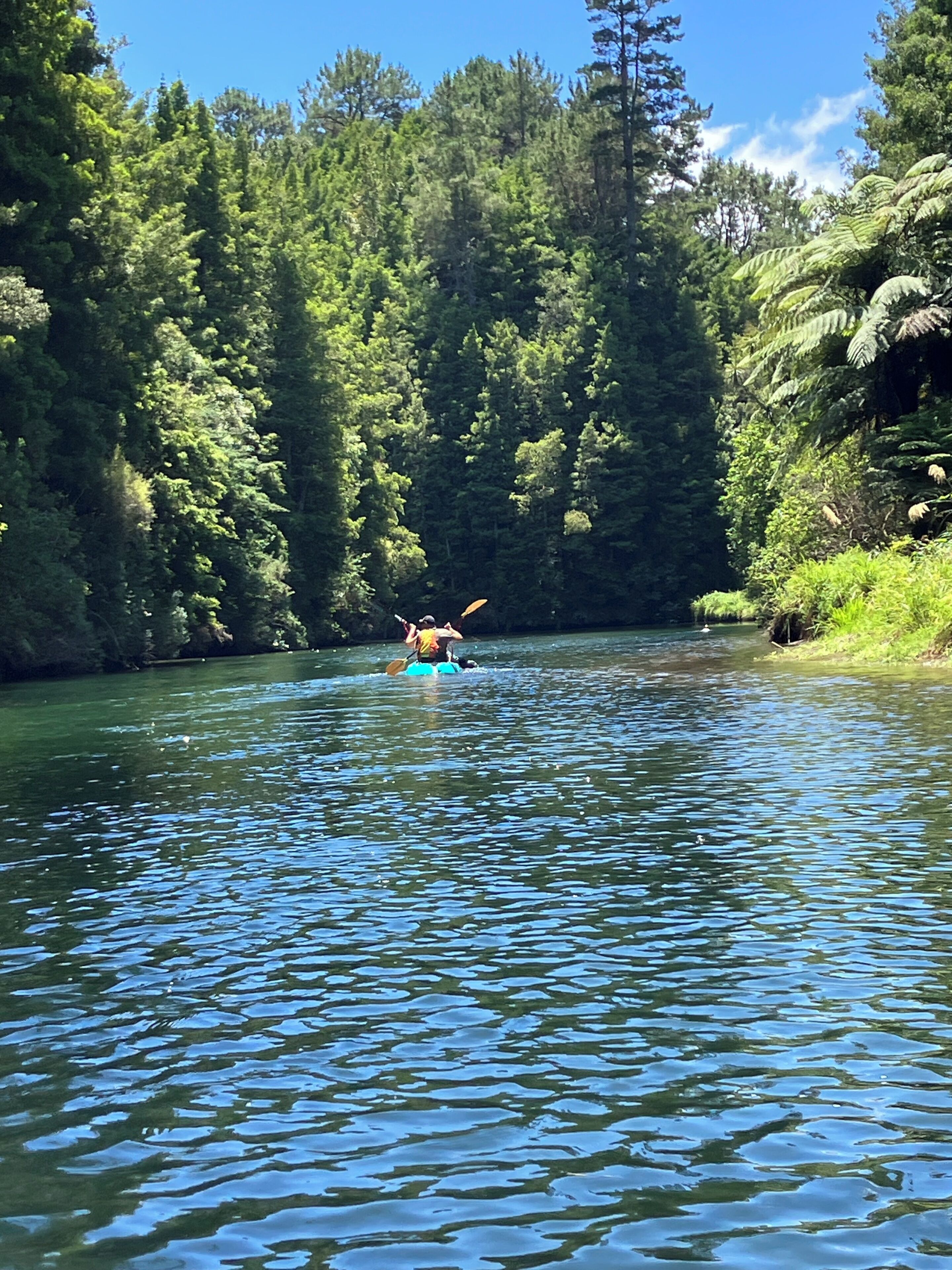 Un kayakista en un río rodeado de densa vegetación.