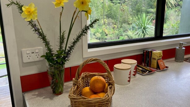 A kitchen counter with a basket of oranges, a vase with yellow flowers, and a window with a view of greenery. - Punga Grove - Bush setting, kayaking, Trout fishing, Waterfalls, Glow worms (Omanawa)