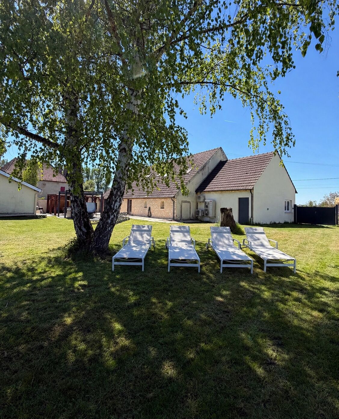A grassy outdoor area with four white lounge chairs under a tree, a building with a tiled roof, and a clear blue sky.