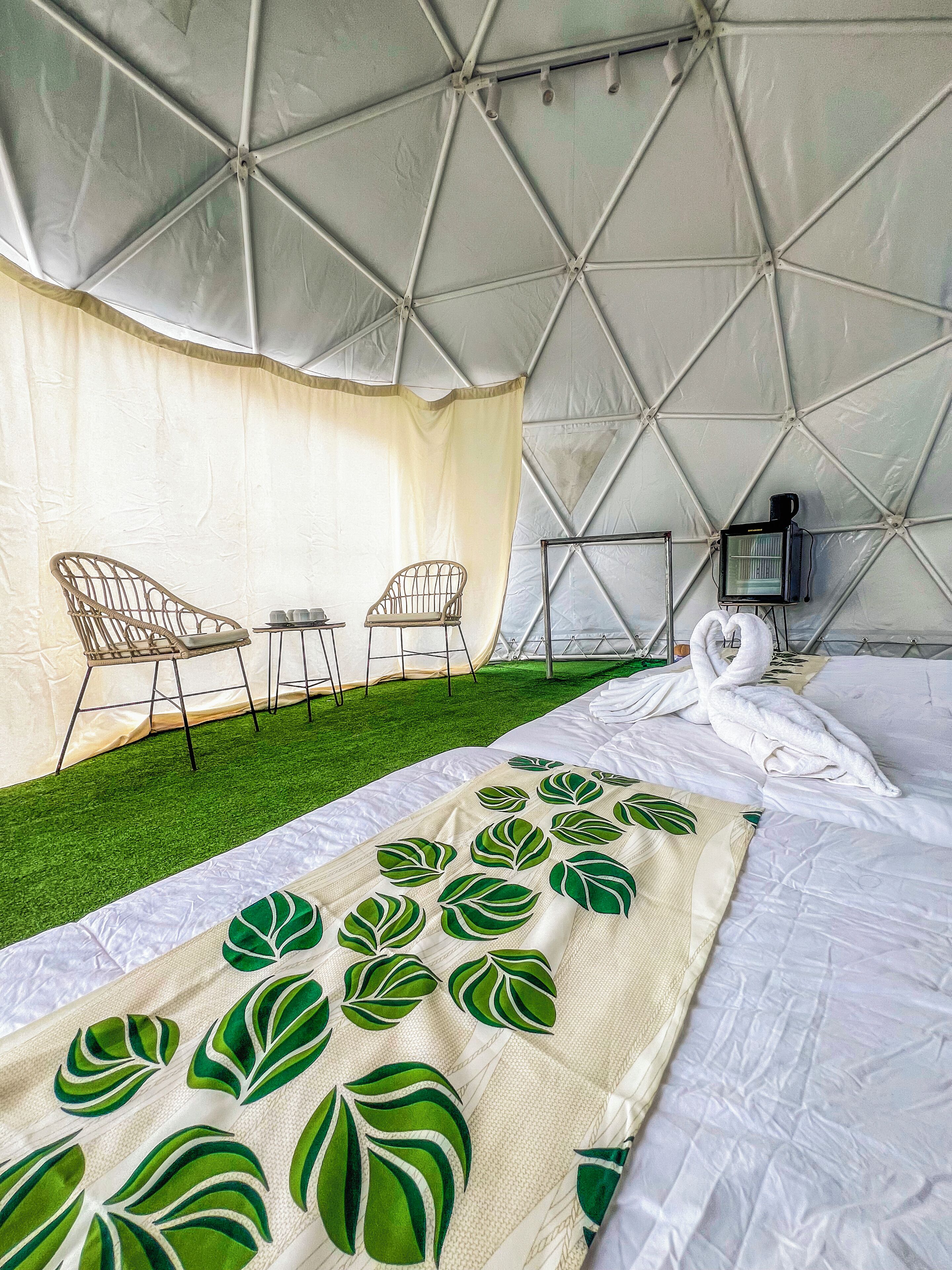 Camera Basic con letto matrimoniale o 2 letti singoli, non fumatori, vista giardino | Una cassaforte in camera, tende oscuranti, lenzuola