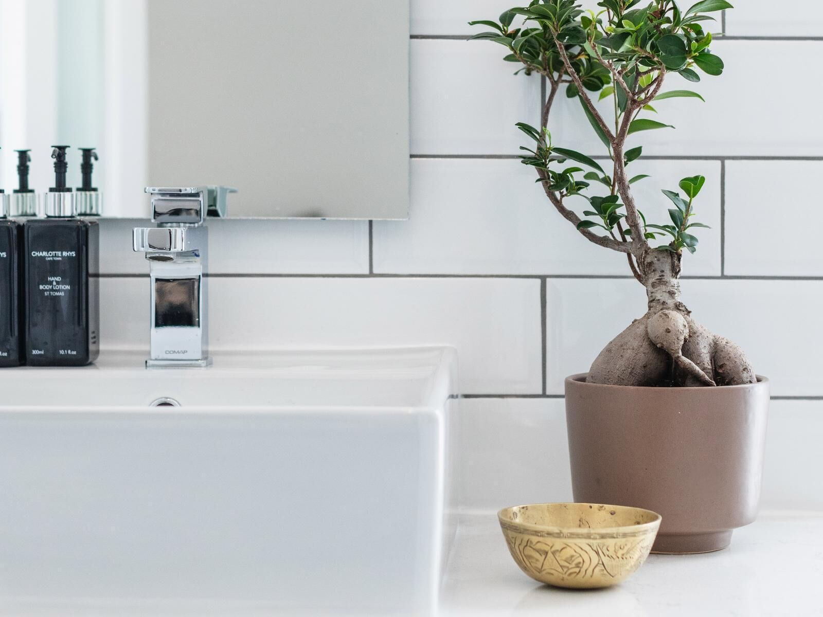 A bathroom with a white sink, a mirror, a potted plant, and toiletries on the counter.