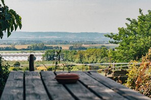 Family Chalet, Air conditioning, Mountain View | Terrace/patio - L'annexe (Sonnay)