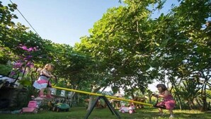 Um balanço de jardim com árvores e flores.