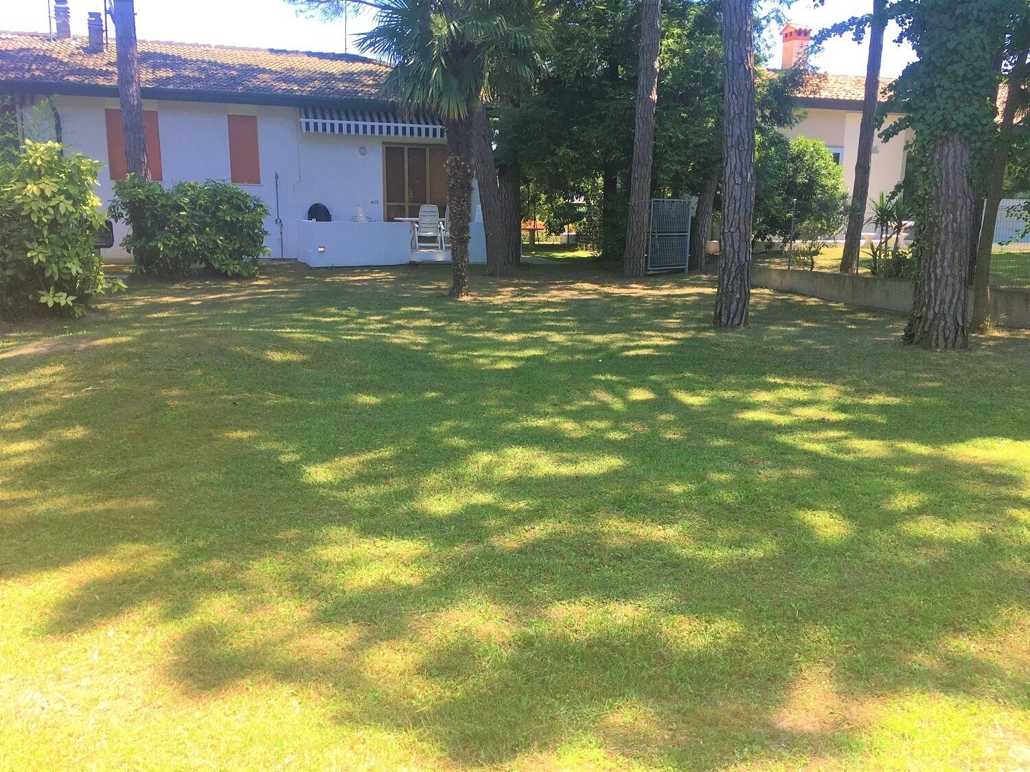 A grassy yard with trees and a building in the background.
