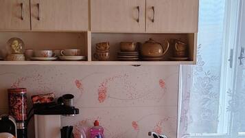 Fridge, microwave, oven, cookware/dishes/utensils