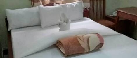 Fer et planche Ă repasser, accĂšs au Wi-Fi (inclus)