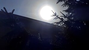 Un sol brillante parcialmente oculto por ramas de árboles.