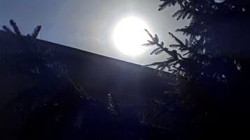 Helle Sonne, teilweise von Ästen verdeckt.
