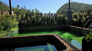 A pool with a tiled edge and a rocky border, surrounded by lush greenery and a wooden fence. - Shalva Homestay Catba (Hai Phong)