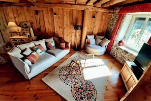 TV, DVD player, books, video library