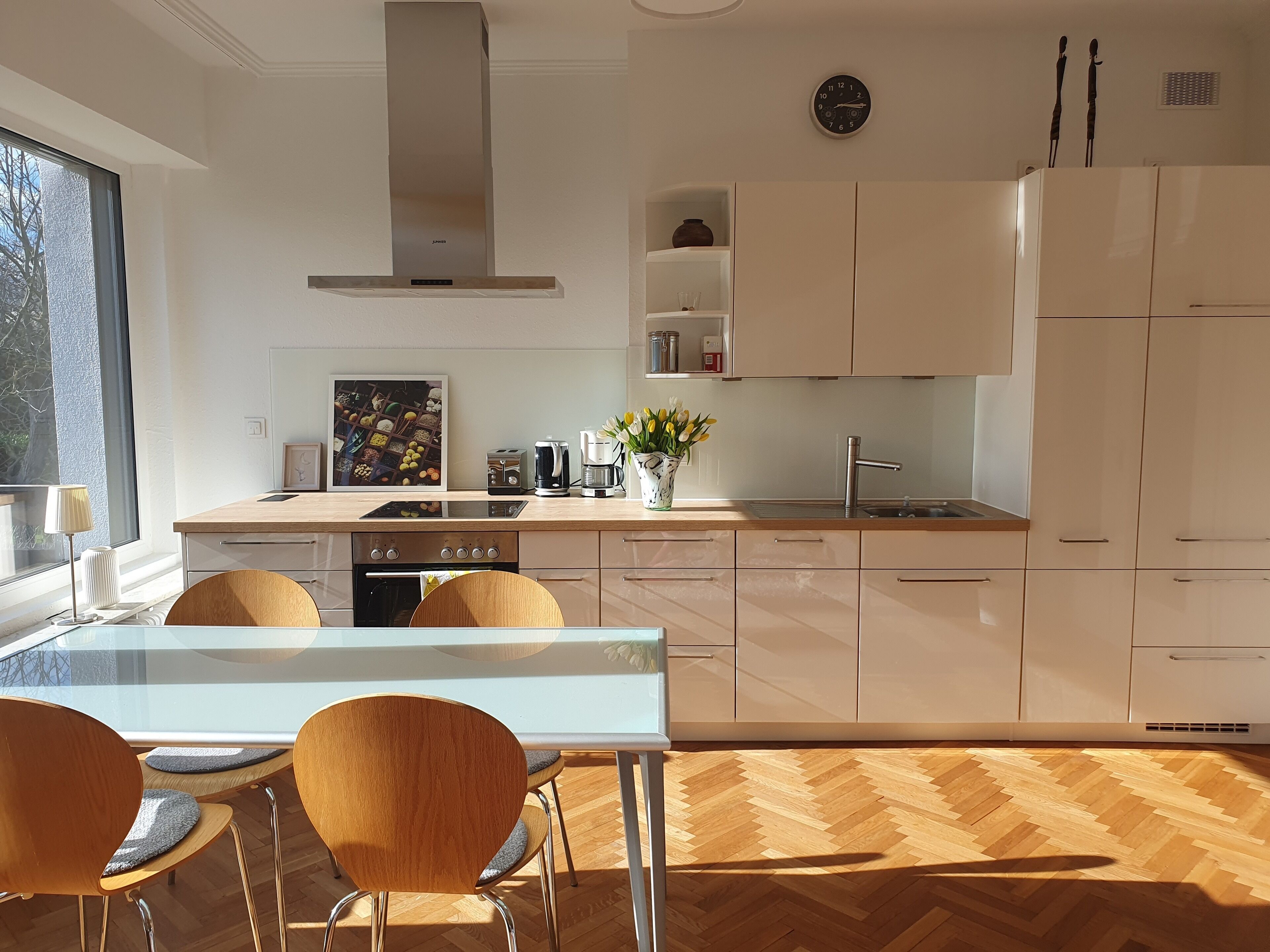 Oven, stovetop, dishwasher