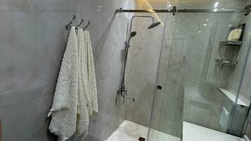 Regadera, secadora de cabello, bidet, toallas