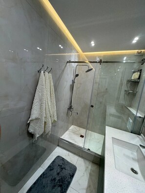 Regadera, secadora de cabello, bidet, toallas 