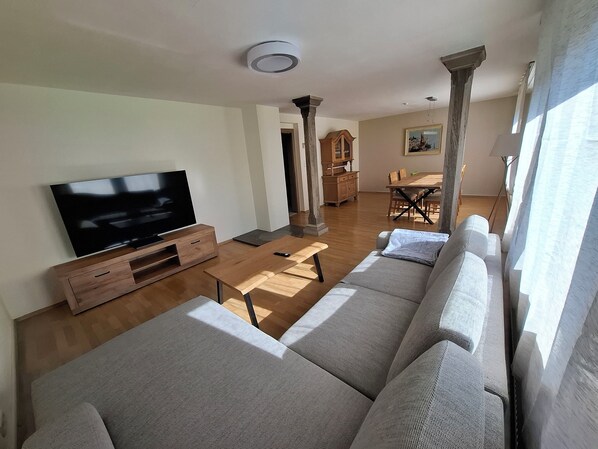 TV, fireplace, DVD player, video library - Entire vacation home in Mainfranken (Segnitz)