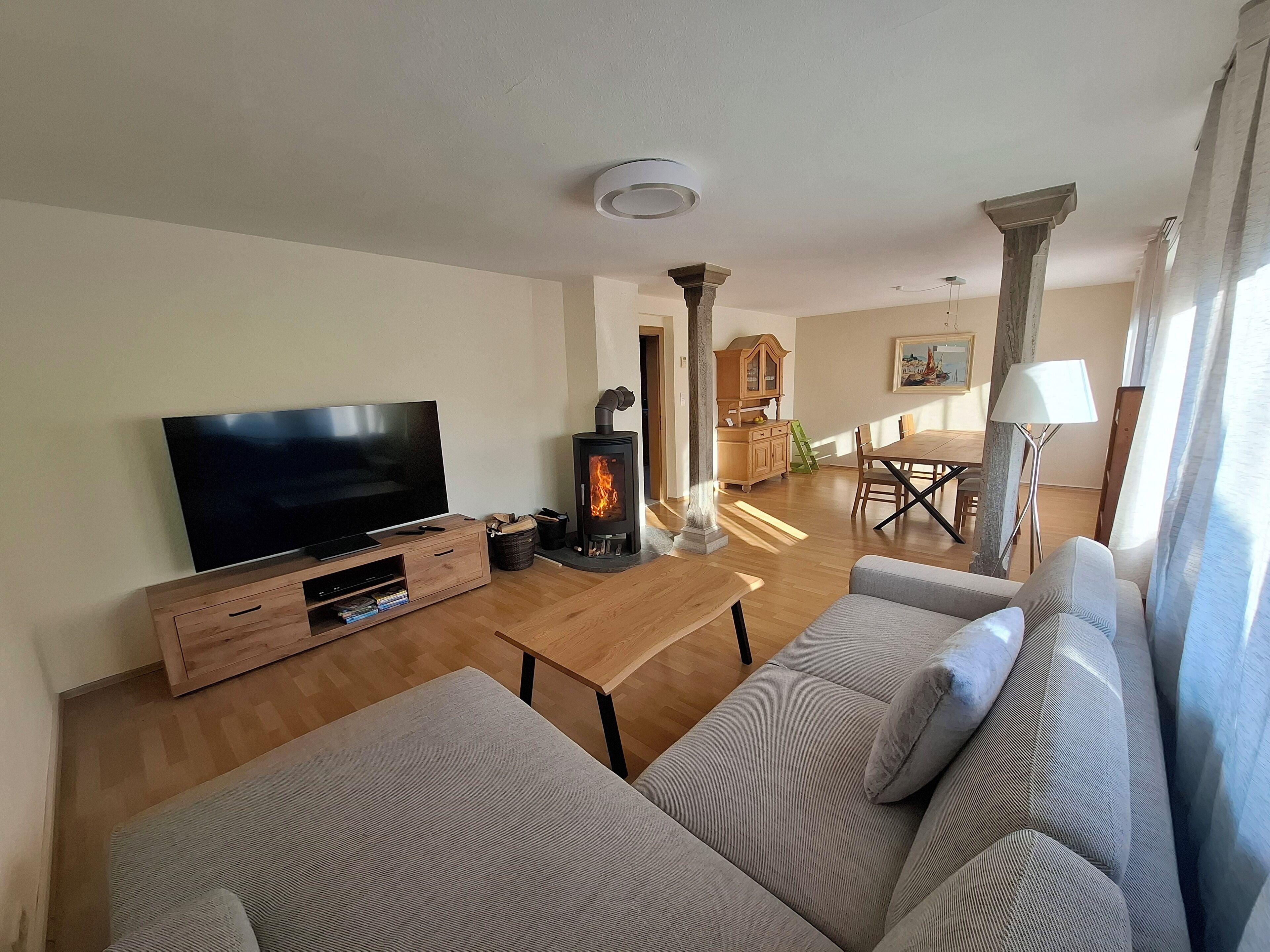 Smart TV, chimenea, reproductor de DVD y libros 