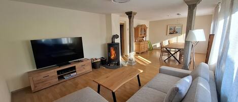 Smart TV, chimenea, reproductor de DVD y libros