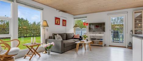 TV, fireplace, DVD player