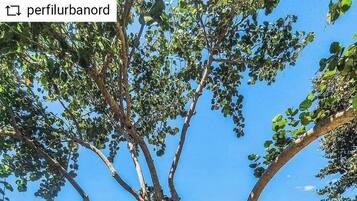 Villa, 5 Schlafzimmer, barrierefrei, Raucher | Pool | Außenpool