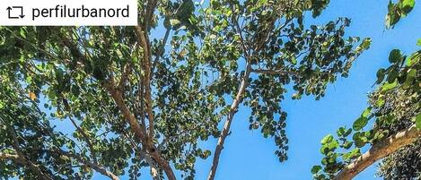 Villa, 5 Bedrooms, Accessible, Smoking | Pool | Outdoor pool