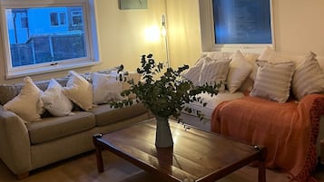 Smart TV, chimenea y libros