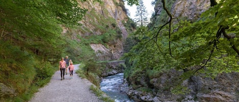 House | View from property