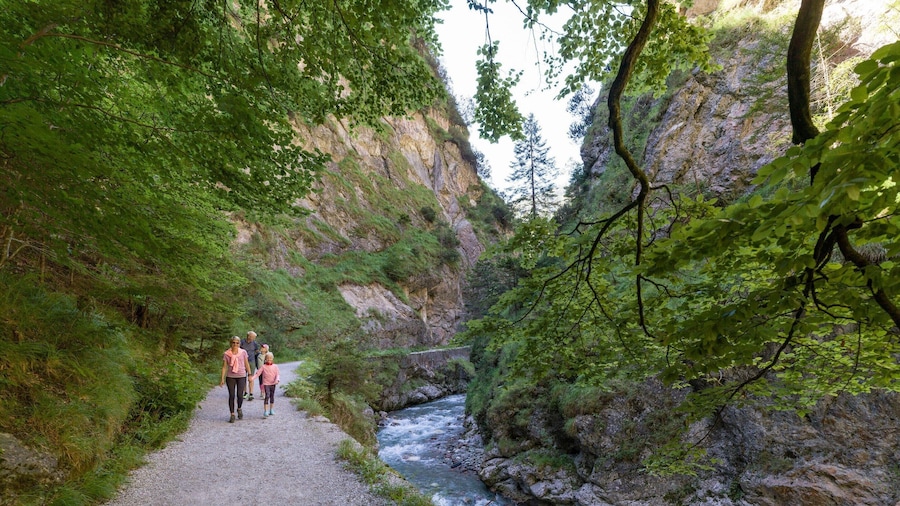 Feriendorf Wildschonau Near Sauna