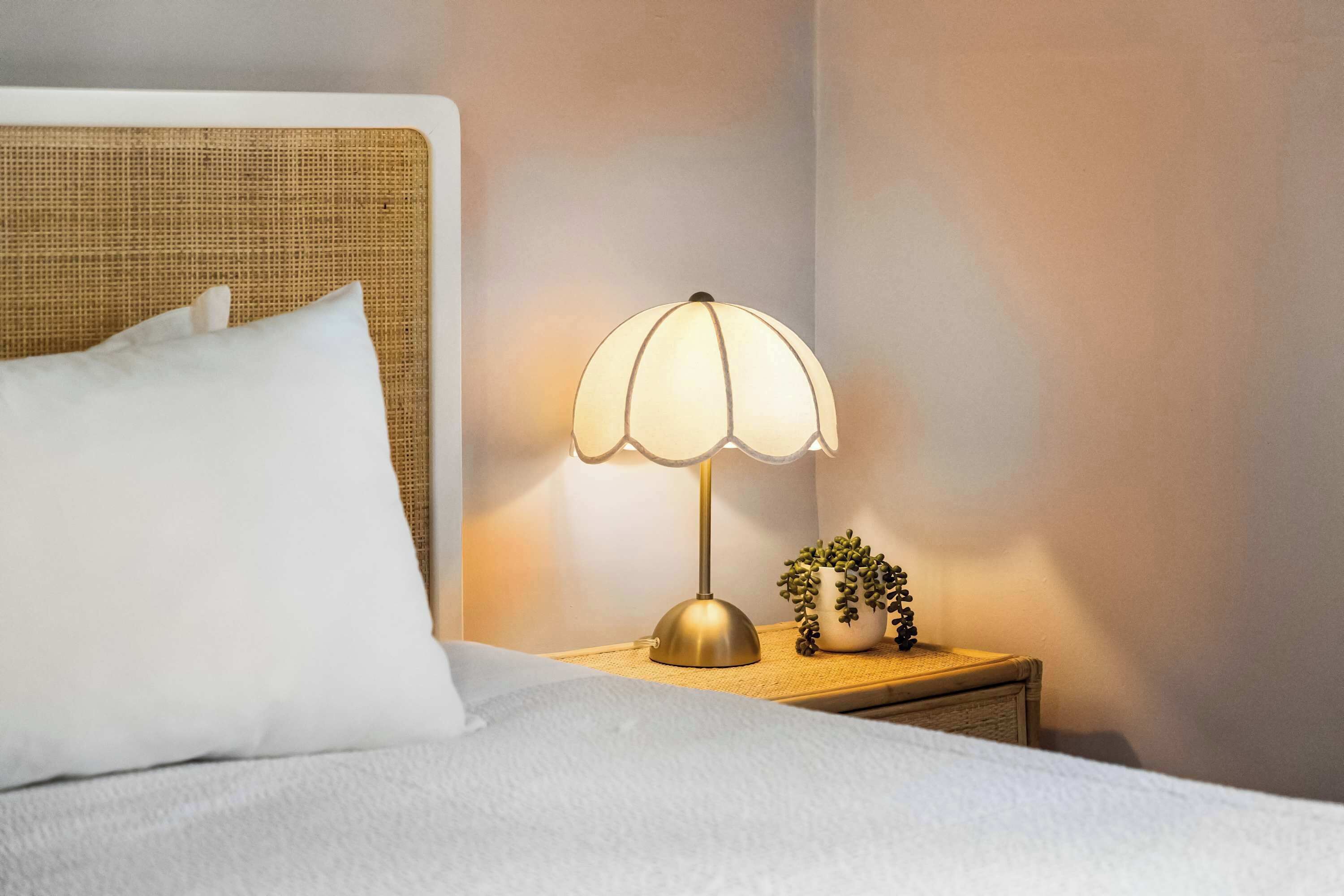 A neatly made bed with a white pillow, a bedside lamp, and a small potted plant on a wooden nightstand.