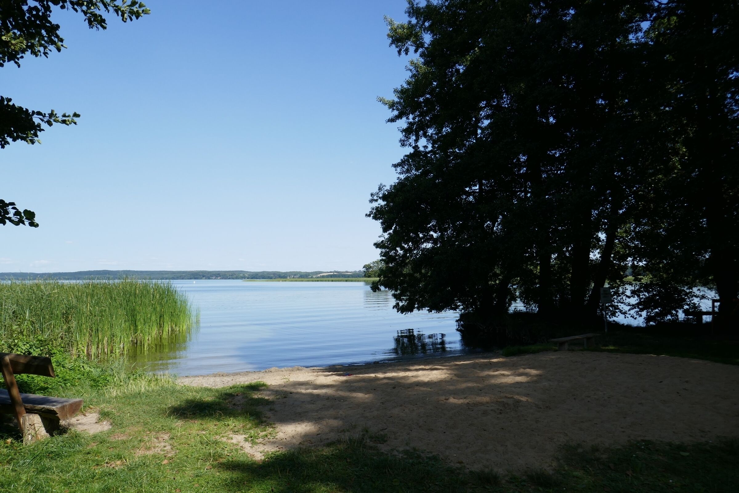 Et område ved en sø med sandstrand, en træbænk og et stort træ der giver skygge.