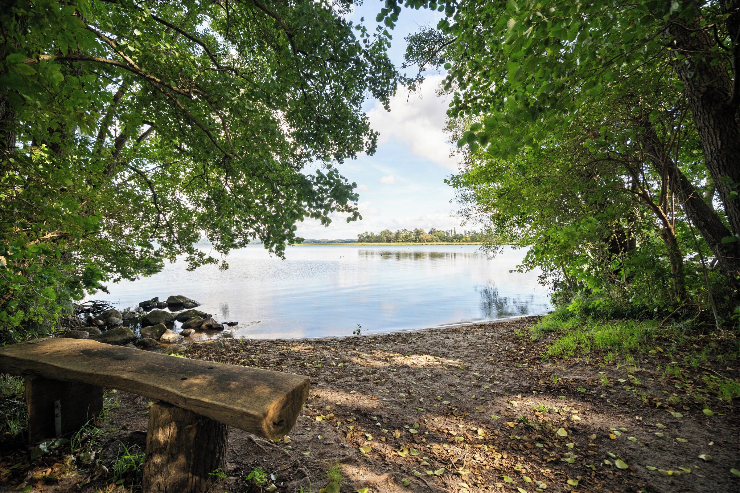 Kugelhaus Chiara am Tollensesee Penzlin – Naturidylle pur: Ruhige Badestelle direkt am Seeufer