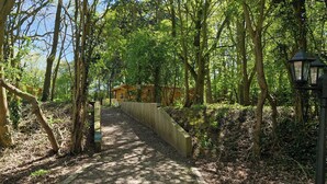 A forested path leading to a building with a sign. - Snowdrop Lodge Dog Friendly Nr Anderby Creek (Alford)