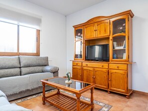 Televisor 