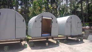 Tent | Free WiFi