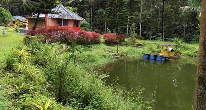 Rising Surya Homestay