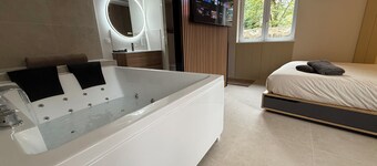  Fully-equipped cocooning apartment (KINGSIZE whirlpool bath)